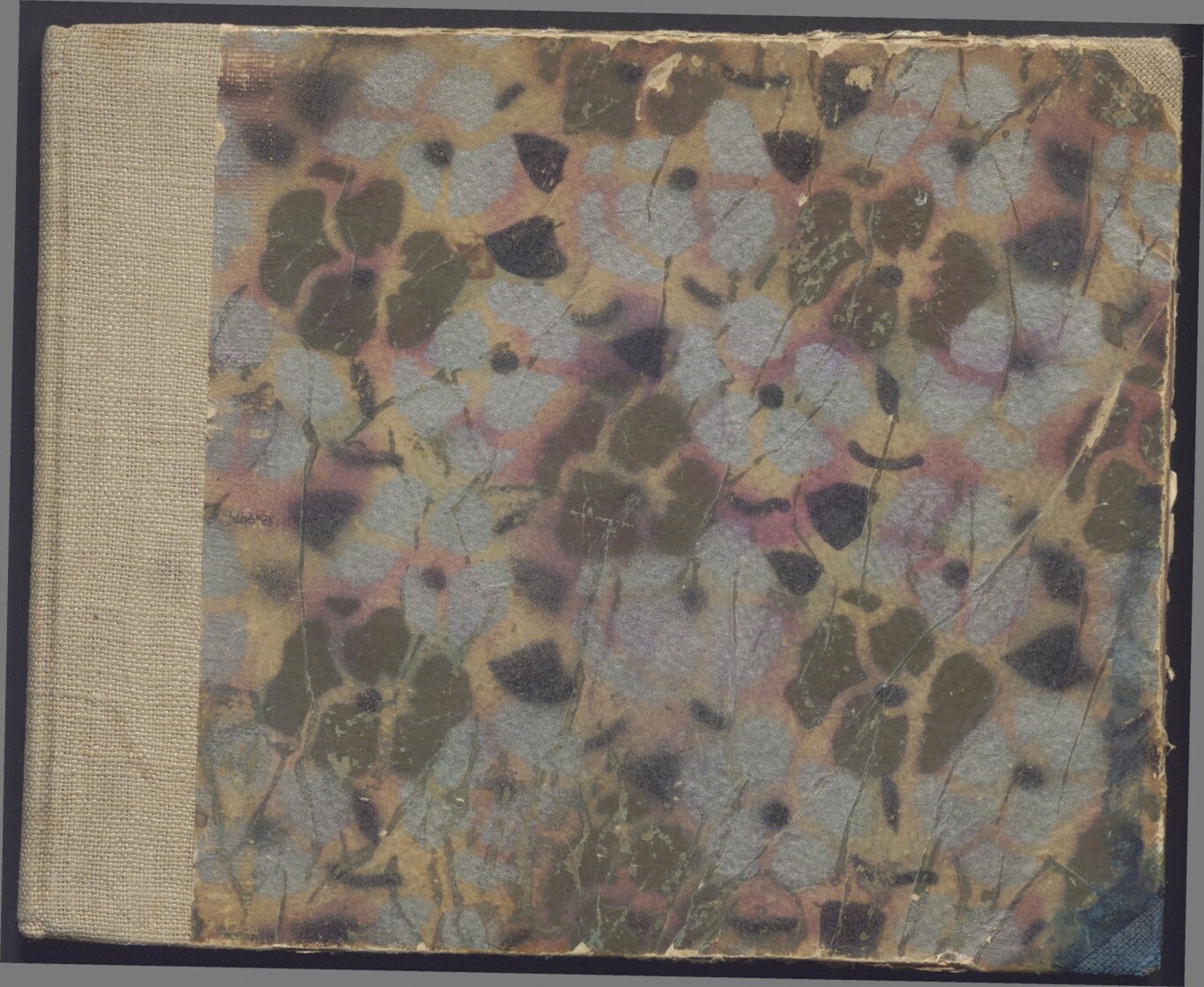 Zielarstwo i ziołolecznictwo   skrypt - 1941